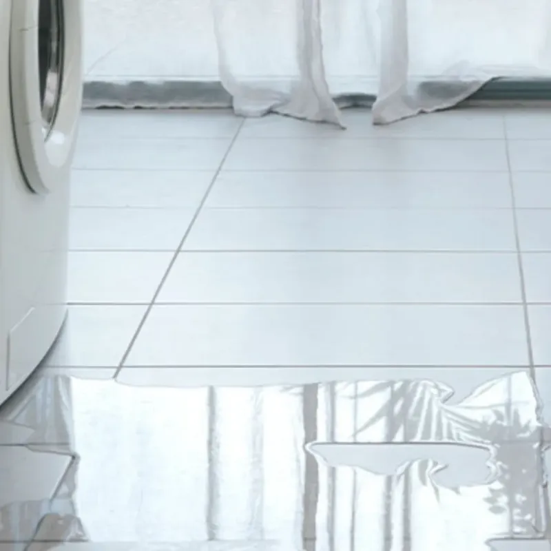 Appliance Leak Cleanup in Alamance County, NC