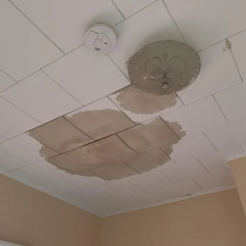Ceiling Water Damage Repair in Alamance County, NC