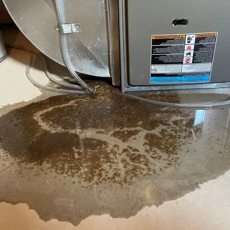 Pipe Burst and Leak Restoration in Alamance County, NC