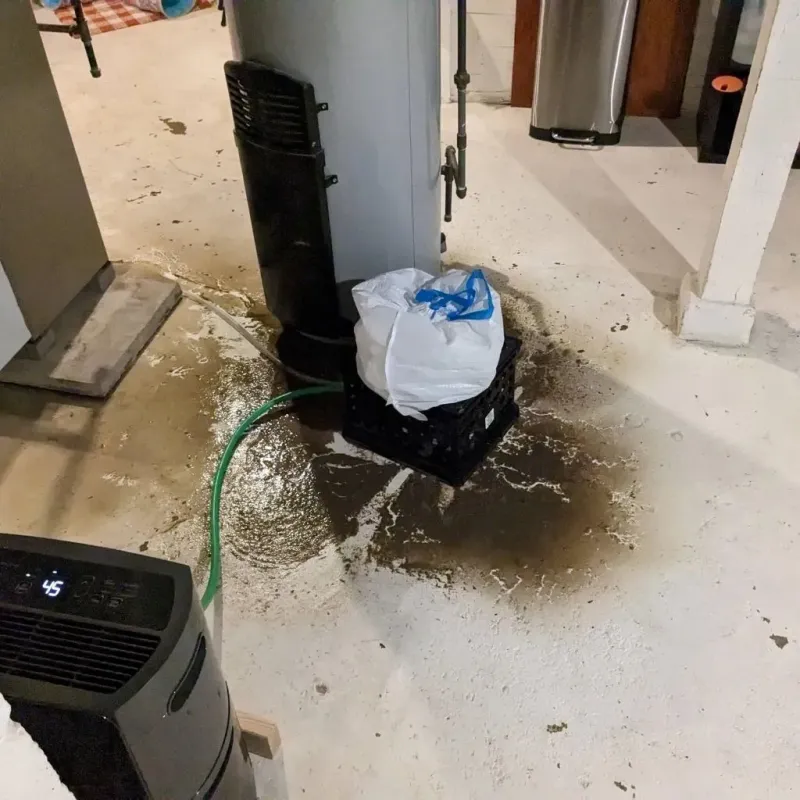 Sewage Backup Cleanup Service in Alamance County, NC